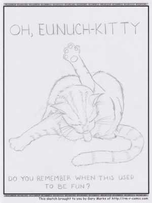 Remove R Comic (aka rm -r comic), by Gary Marks:Something missing 
Dialog: 
This is why cats sleep so much. 
 
Panel 1 
Caption: OH, EUNUCH-KITTY 
Caption: DO YOU REMEMBER WHEN THIS USED TO BE FUN? 