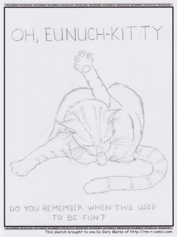 Remove R Comic (aka rm -r comic), by Gary Marks: Something missing 
Dialog: 
This is why cats sleep so much. 
 
Panel 1 
Caption: OH, EUNUCH-KITTY 
Caption: DO YOU REMEMBER WHEN THIS USED TO BE FUN? 
